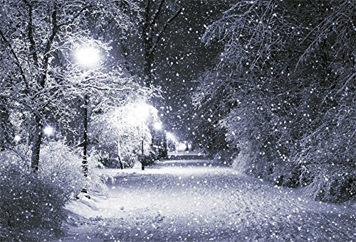 LFEEY 7x5ft Vinyl Christmas Pine Forest Snow Winter Night Backdrop for Photography Background Glorious Moon Stars Holiday Party Decor TV Show Adults Kids Portraits Photo Studio Props